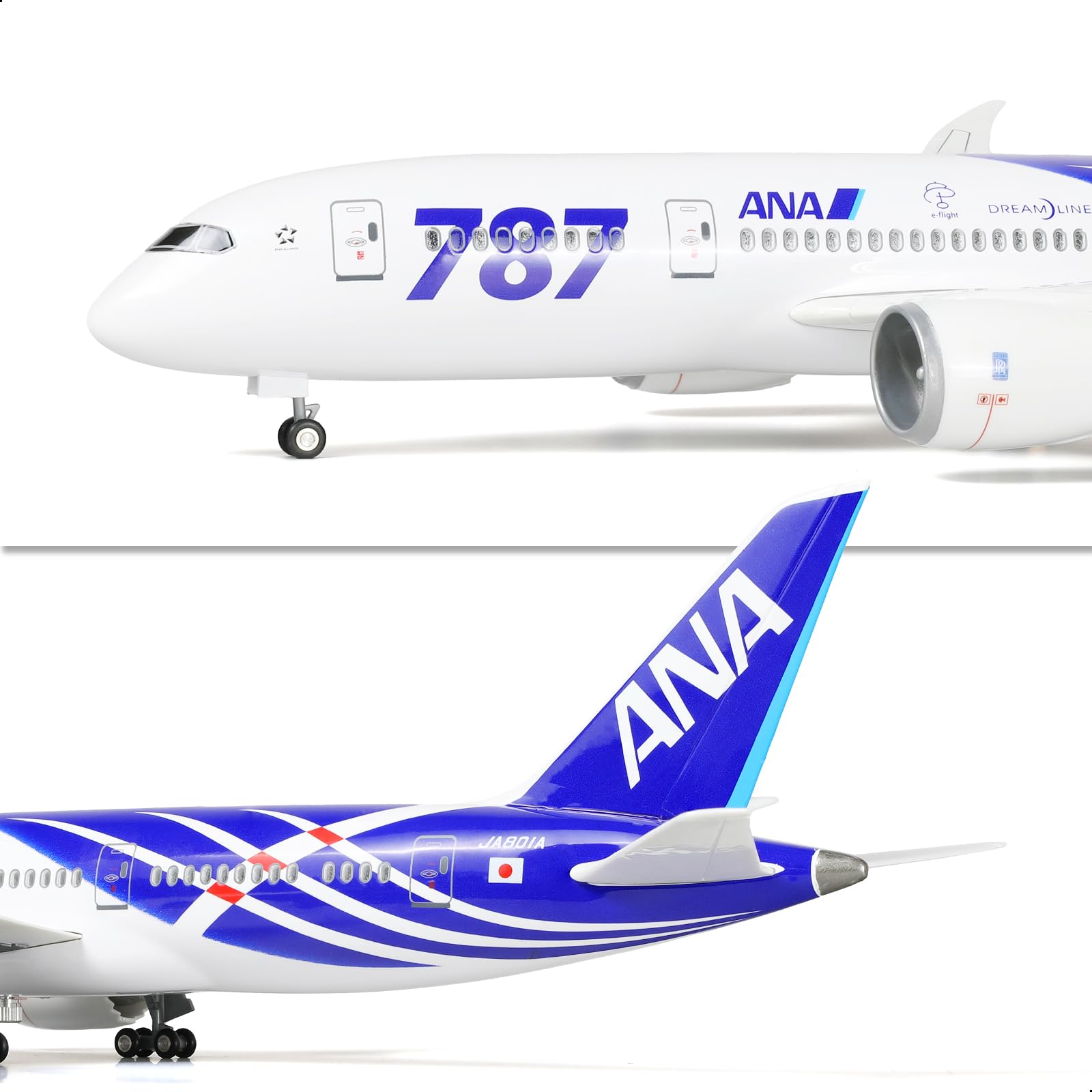 ANA   模型 BOEING 787-8   Special Marking 7909333__20069.1494475845.jpg?c=2
